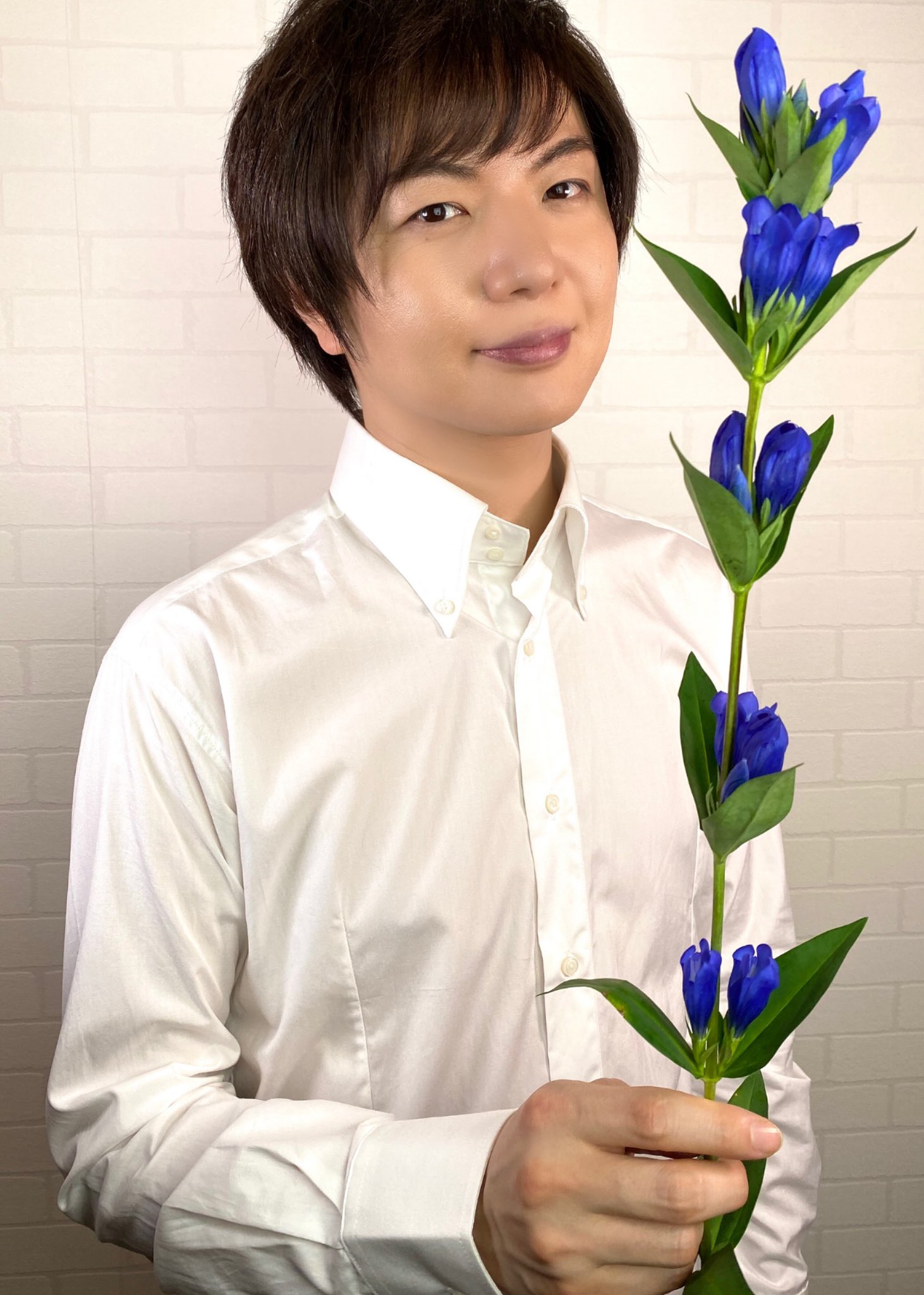 تويتر 竹島宏スタッフ 公式 على تويتر リンドウ いわて夏のあい リンドウ青色の花言葉は 誠実 リンドウはたくさん種類 があります 日本一の リンドウの産地は岩手県 だそうです 今日も１日お疲れ様でした ひろネット 花便り 花言葉 花 花を贈ろう