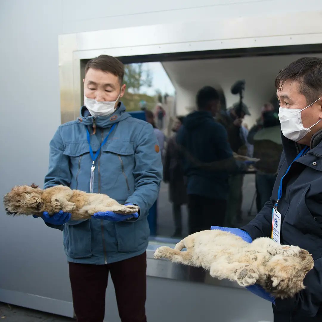 Dr Dean Lomax on Twitter "This is SPARTA... an exceptionally preserved