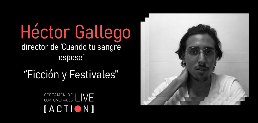 LIVE ACTION | FEST 🔴 tweet media