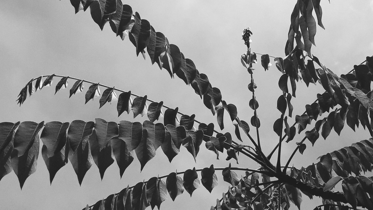 Atography24's tweet photo. "escape into wonderland and keep good memories"
i always stick to that word everytime i hit the captured botton. happy #WorldPhotographyDay ! 🎉📷

- sharing some of my fave photos that i've took.
#Atography https://t.co/MRwxrzKala