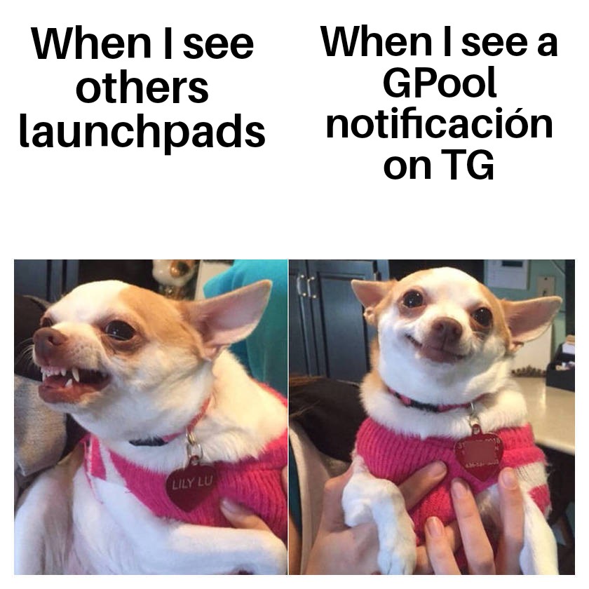 JuananRul's tweet image. @RealinfinityPad #GPoolTrollComp 
@gpoolofficial