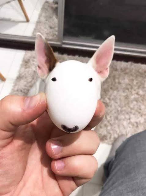 ViralityClips's tweet image. 