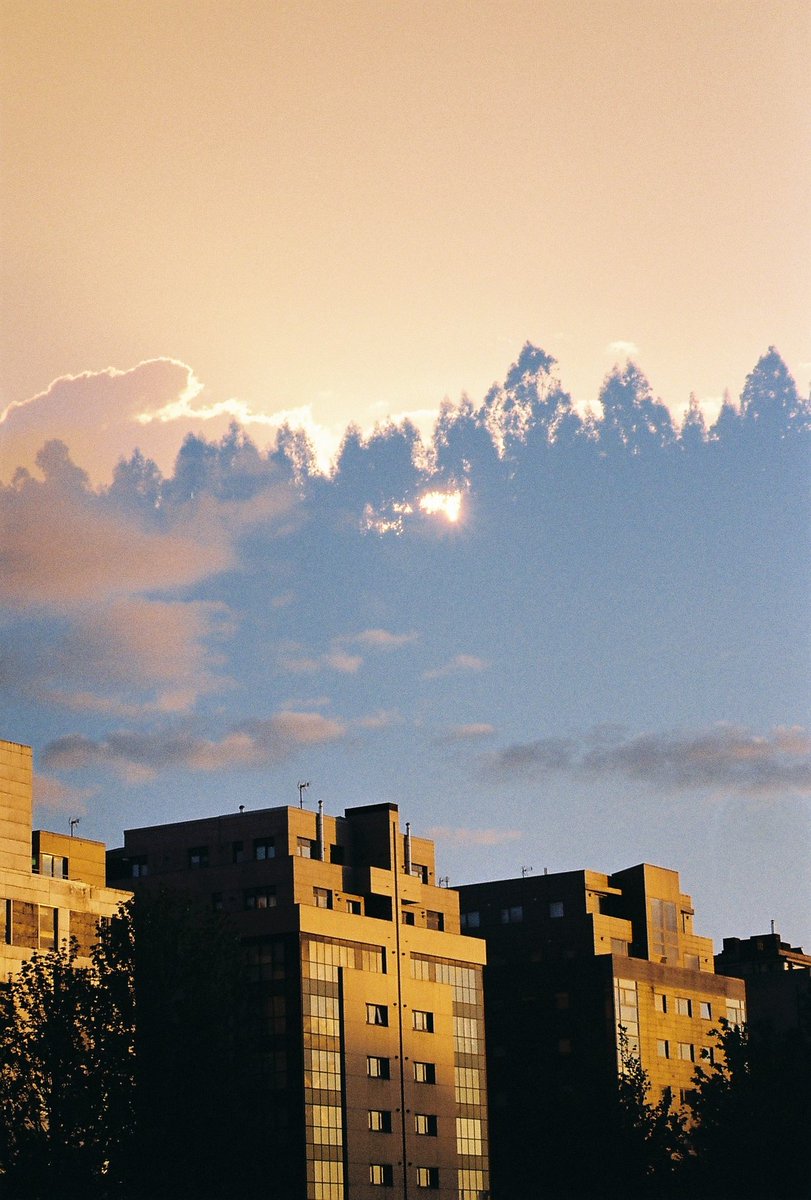 sydjulio's tweet photo. Un ceo noutro.

Santiago, maio de 2021
Kodak Gold 200 https://t.co/mLClbxsBrQ
