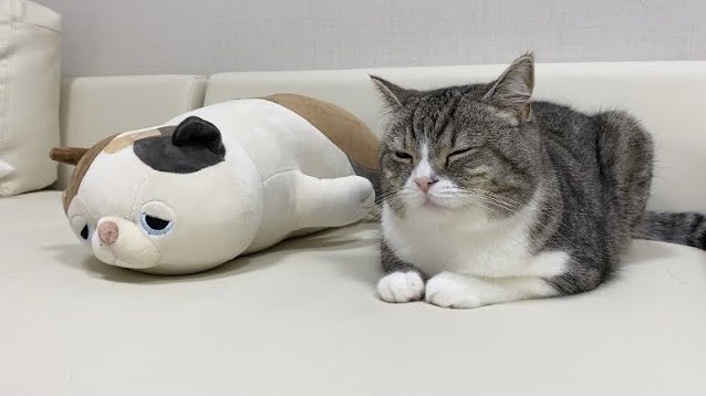 もち様 | incalake.com