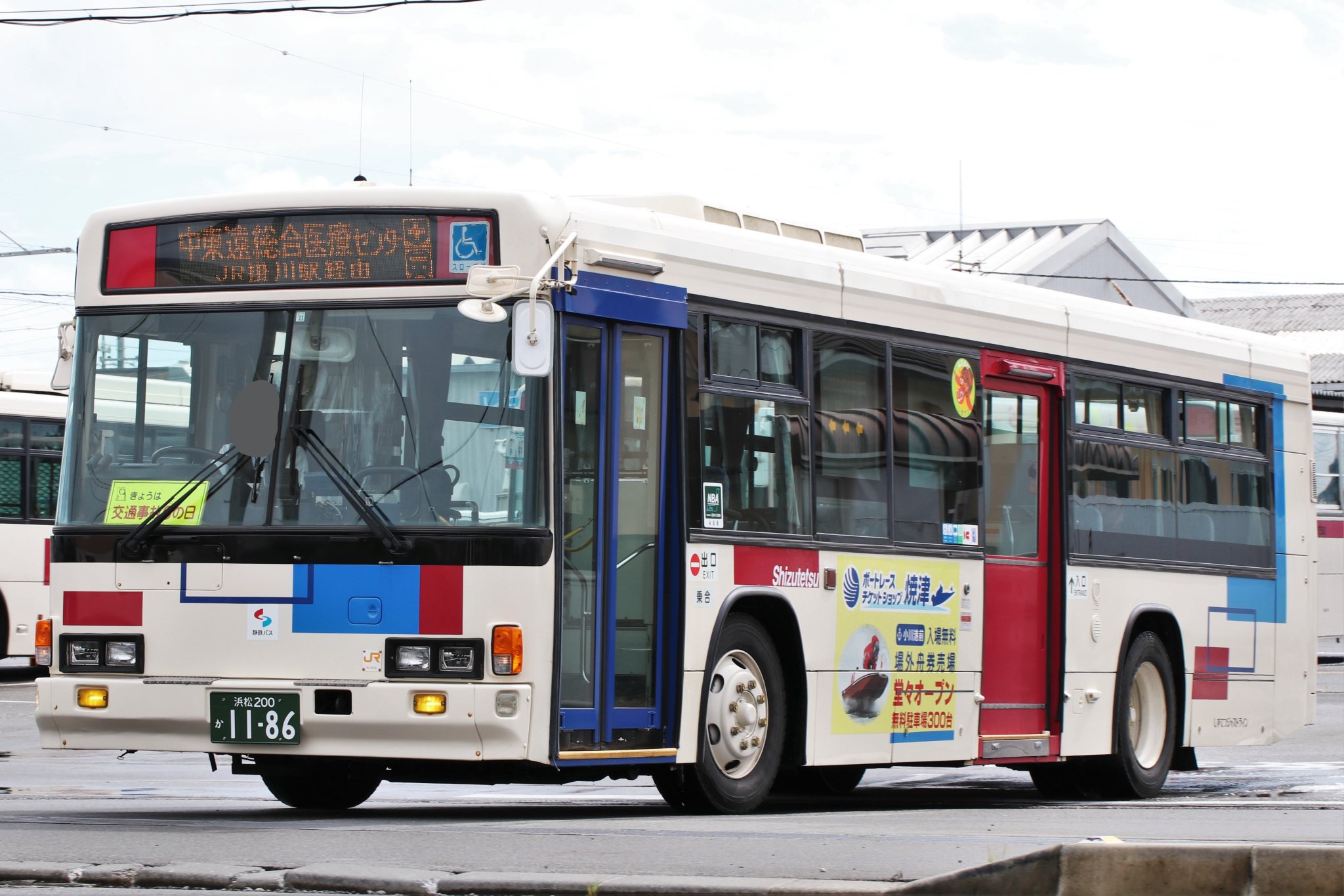 【安心の生産者仕入れ】ソテツ　どっしり重太丸中株6号 有限会社サコ重機