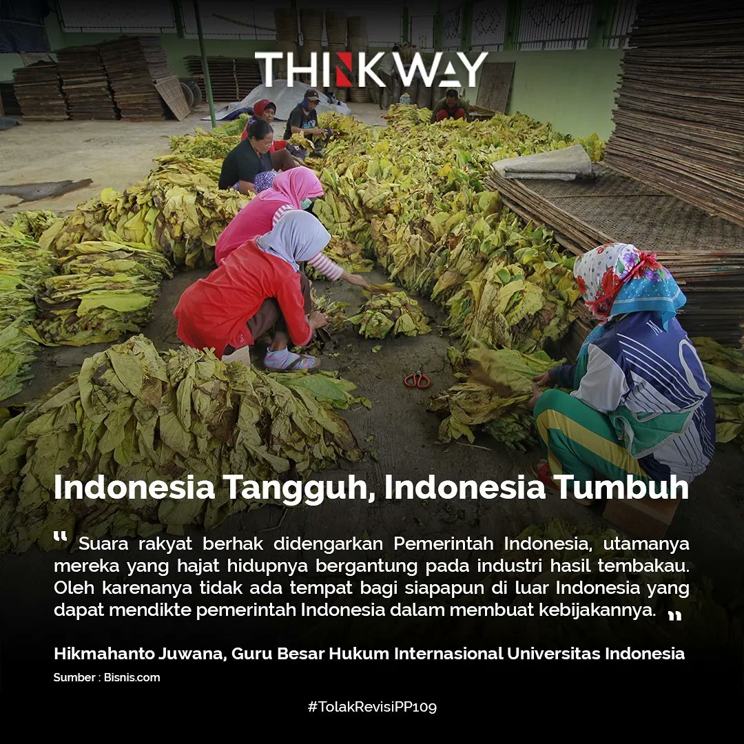 thinkway_ID's tweet photo. Banyak orang bersandarkan hidupnya pada tembakau. #IndonesiaTumbuh #IndonesiaTangguh juga berkat tembakau. Inilah potret orang-orang yang menggantungkan hidupnya pada tembakau
#tembakau #Indonesia #TolakRevisiPP109 #Thinkway ID https://t.co/o1xVh75ybm
