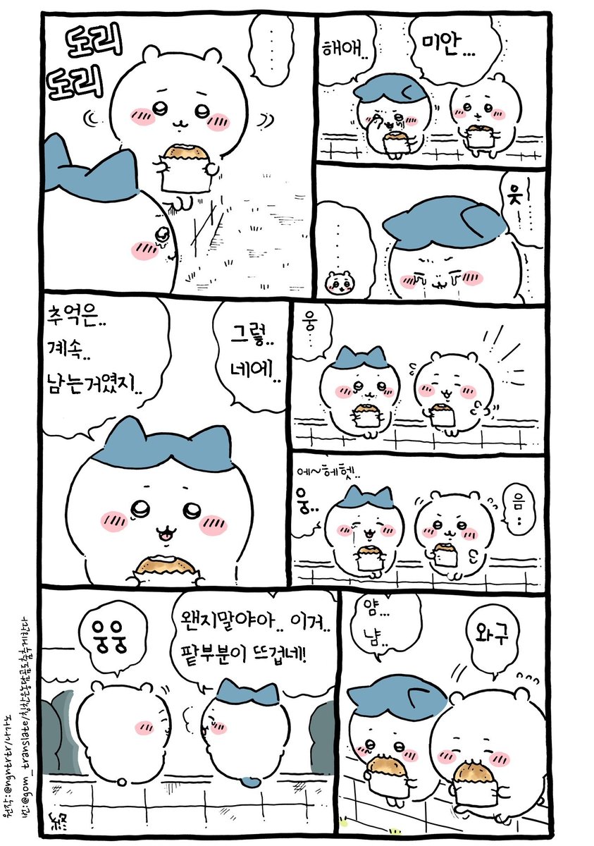 gom_translate's tweet photo. 치이카와 만화 번역
하치와레와 리본 9-12 (완) https://t.co/LUF99Bsyft