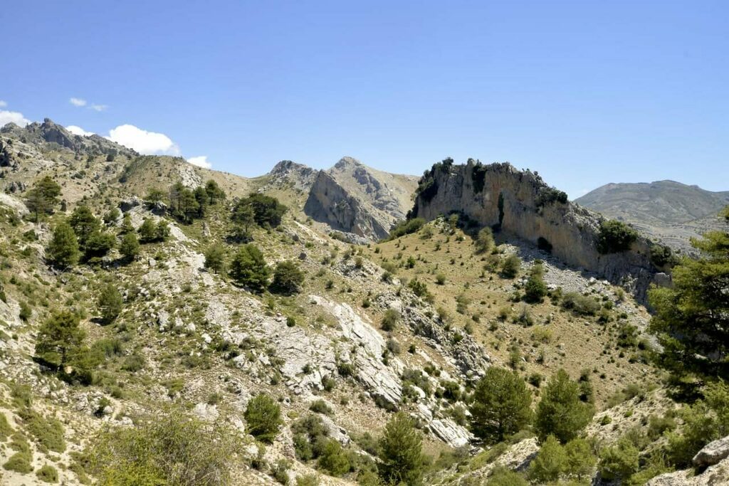 DSenderista's tweet photo. Nacimiento y crestones del río Castril, atalayas oteadas por el buitre sabio https://t.co/waNlxFbAxb https://t.co/nRYzE2bN9K