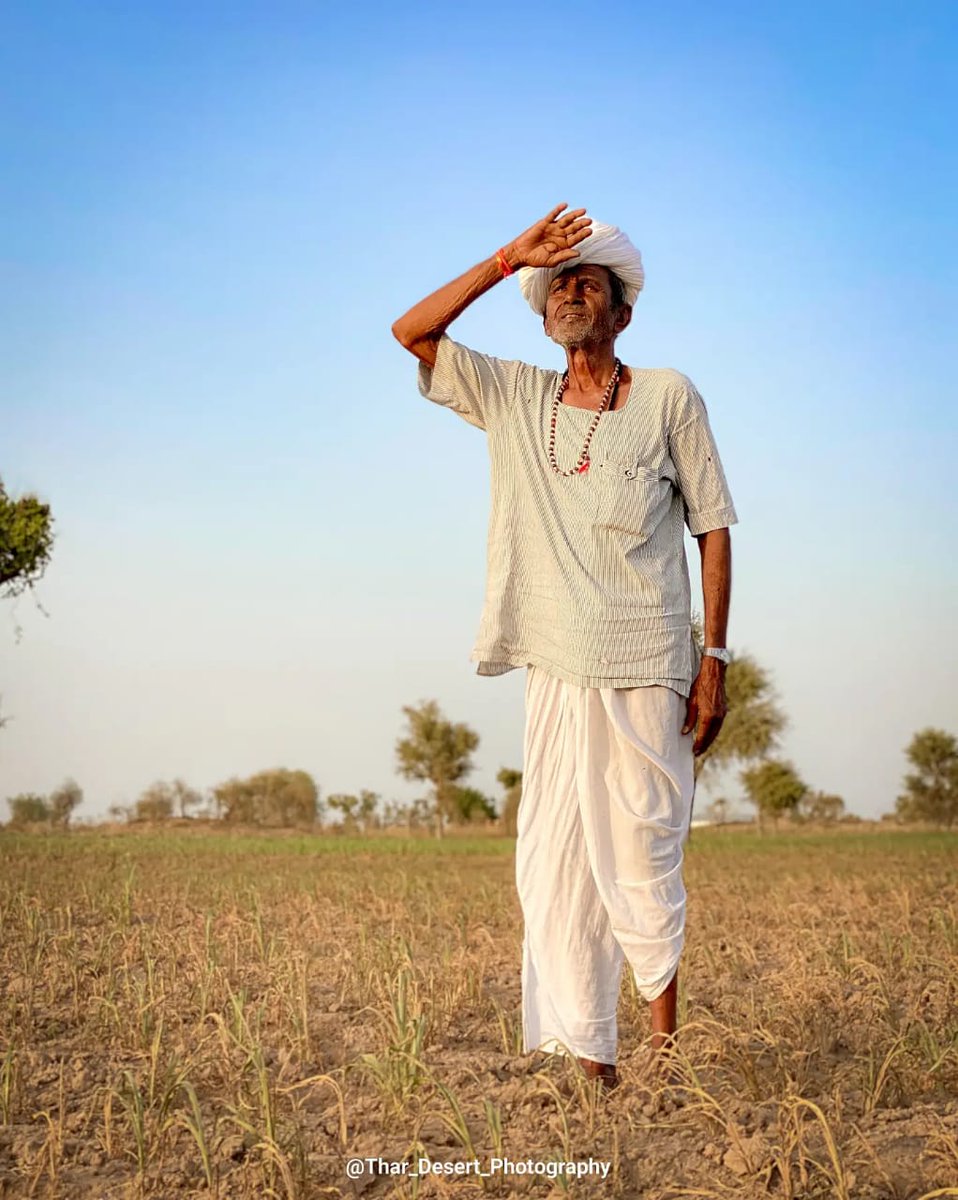 NareshCNain's tweet photo. बाजरी बळ चुकी है,अरमान जलना बाकी है
सुख गये तालाब सारे,ये अकाल की झांकी है!पिछले कुछ दिन से किसान अपने खेतों मे खुद के सपने जलते देख रहा है ,अकाल ऐसा पड़ा है कि पीने के पानी की समस्या भर आई  तालाबो मे बिल्कुल पानी ना आया!खेतो में खड़े किसानो के मुरझाये चेहरे देख कलेजा फट जाये । https://t.co/NxTcbSg0me