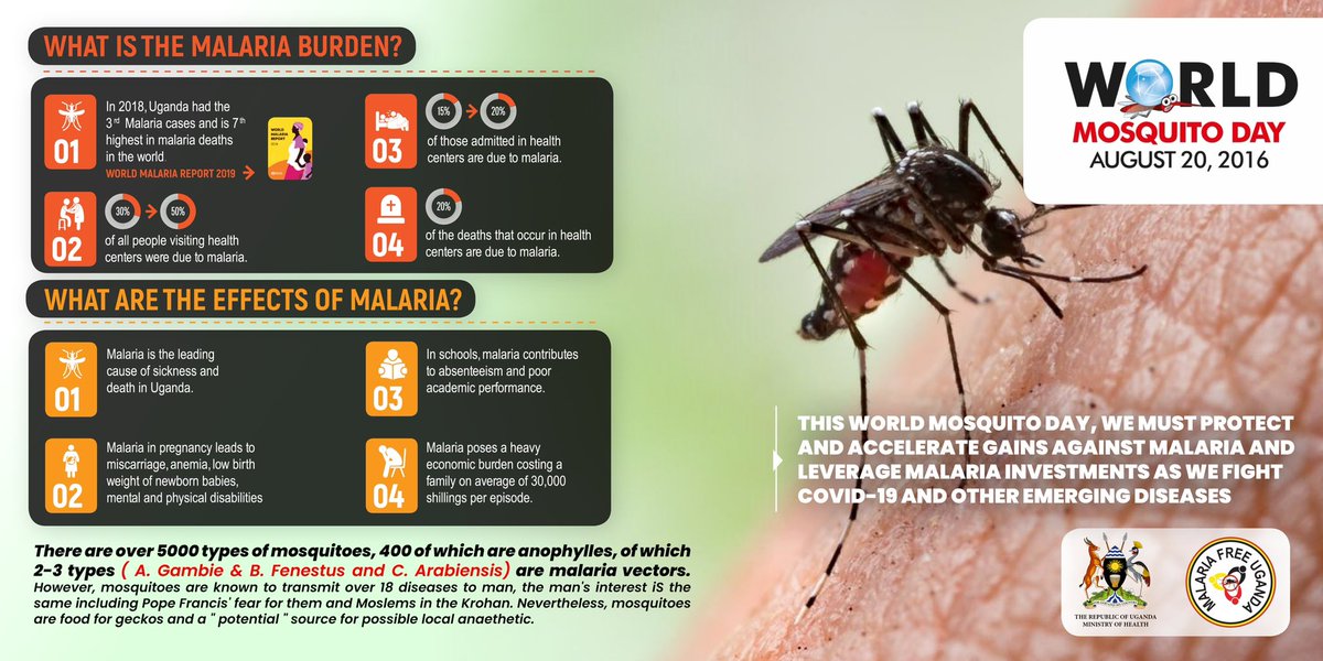 In 2018, Uganda had 3rd malaria cases and 7th highest malaria deaths in the world.  The insect behind it. #MosquitoChat #MosquitoDay #WorldMosquitoDay @ZeroMalaria @MinofHealthUG @UnderTheNet20UG