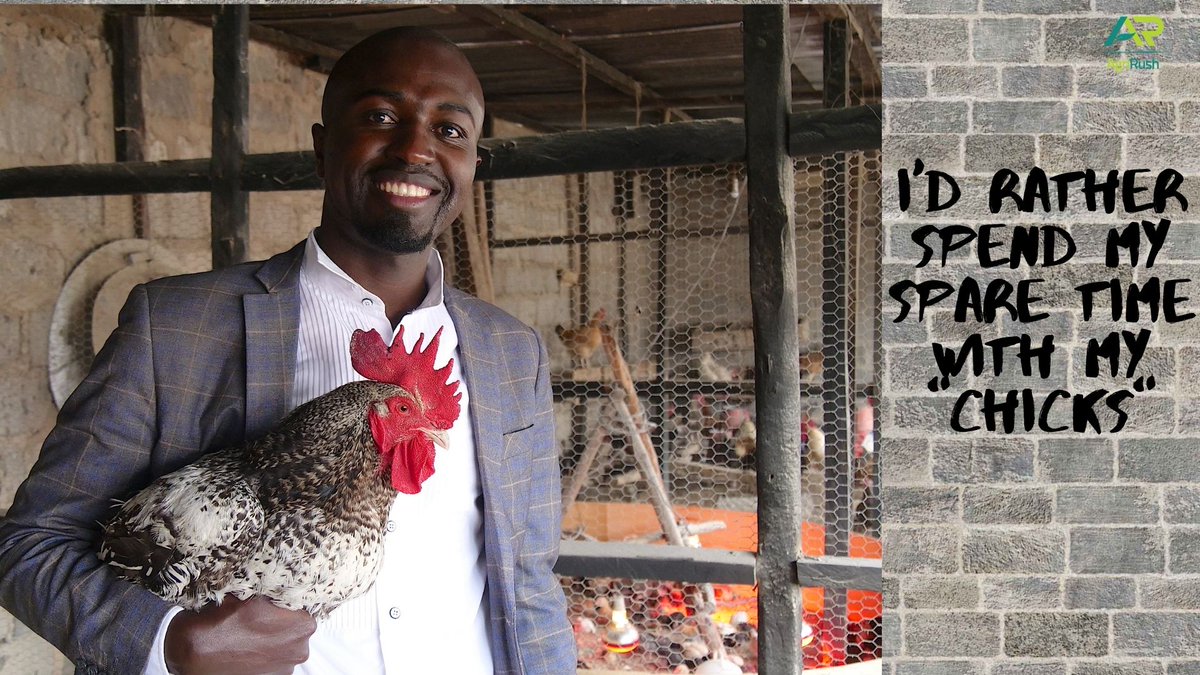 PrecisionUtmost's tweet photo. Figure out, a part of the valuechain that maximizes your earnings. I chose hatching improved Kienyeji chicks.https://t.co/ozE51jpaZC https://t.co/TxMAJt8kvV