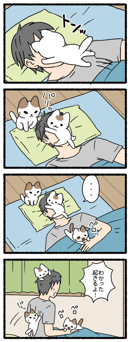 ねこようかい かまいたち  #ねこようかい 