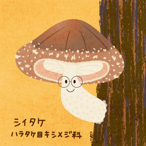 シイタケのtwitterイラスト検索結果 古い順