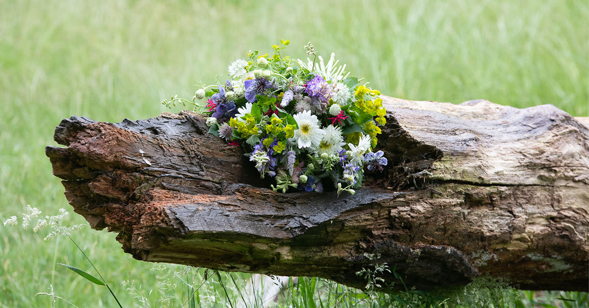 Often referred to as bellflowers, these campanulas are straight out of a fairytale. Evoking a fantastical playfulness and the image of little ballet slippers in full bloom, our two summer campanula bouquets were quick to be christened the Ballerina and A Midsummer Night’s Dream.