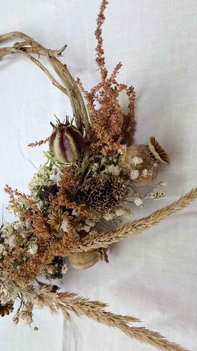 wild_lifeguide's tweet photo. I've been having so much fun crafting and designing mini everlasting wreaths. Almost all of the material has been grown by me, and the Astilbe and Gypsophila preserved from a bouquet. Incl. Ivy from the garden as the vinebase.

#floraldesign #floristry #wreath #driedflowers https://t.co/8LOM1suPAh