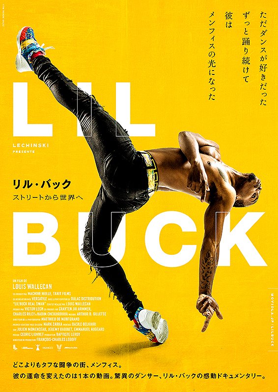 駒井尚文 tweet media