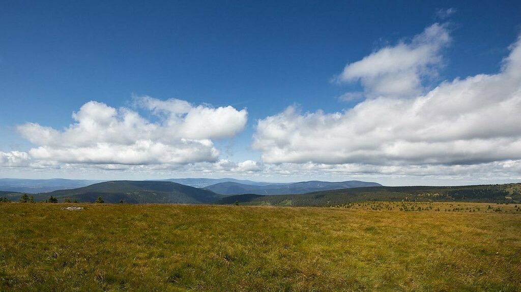 ZavadilMartin's tweet photo. Skyline #landscapephotography #skyline #summervibes #clouds #minimalism #colorfulworld #awsomeview #naturelovers #onthetrip #summer2021 #instapic #mountainphotography #meadow #epicplaces #czechphotographer #travelling #czechnature #jeseniky #tree #mountaโฆ https://t.co/LpGWWaTiol https://t.co/2Y2cJ843Ln