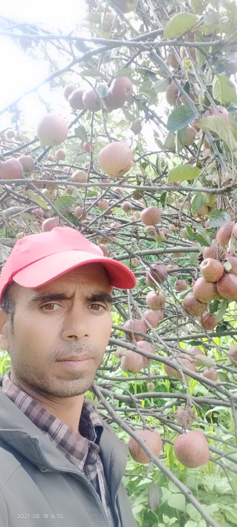 जुम्ला को स्याउ