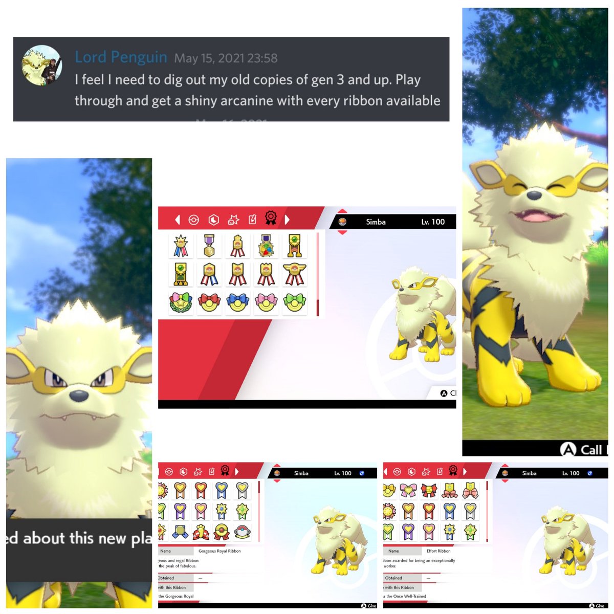 Matt Saul (@xpenguinvgc) on Twitter photo So on 15 May 2021. I made a statement on the <a href="/LRLessons/">Littleroot Lessons Podcast</a> discord about getting an Arcanine with every single ribbon available. After 3 months of blood, sweat and tears; I can now finally present to you all: Simba the Living Legend So on 15 May 2021. I made a statement on the <a href="/LRLessons/">Littleroot Lessons Podcast</a> discord about getting an Arcanine with every single ribbon available. After 3 months of blood, sweat and tears; I can now finally present to you all: Simba the Living Legend
