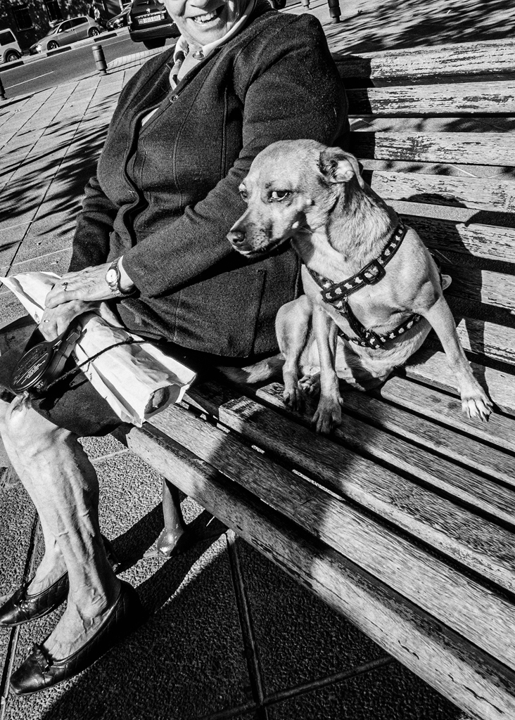 👋 Aún no hemos conseguido tener un @centrofotoimag como lo tienen otros países 🤬. Hay que seguir firmando el manifiesto para hacérselo llegar a <a href="/culturagob/">Ministerio de Cultura</a> y vea el interés que existe 💪. ¡¡¡ NO OS FIÉIS !!! y seguid compartiendo y participando. 🙏

sites.google.com/view/centrodef…