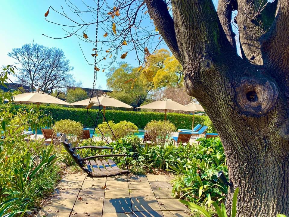 LaurasWorldza's tweet photo. Checked in and ready for our staycation in the heart of Melrose and the "Smoke & Bones" tasting experience, at The Peech Boutique Hotel.
https://t.co/sx7cNbWsu1
Watch this space!
#LaurasWorld
#LaurasTravel
#ThePeechBoutiqueHotel
#BasaltJHB
#ThePeechHotel https://t.co/kpSR2ZqxNa