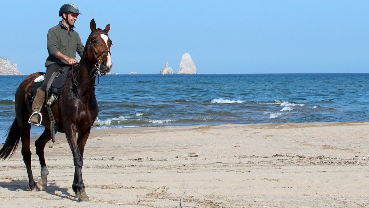 🌞 Don't let summer pass by without riding your horse along one of Europe's fascinating beaches!
Feel the wind in your hair as you enjoy the scents and vibes of Europe's stunning destinations.
bit.ly/3rUuNAP #europe #horseriding