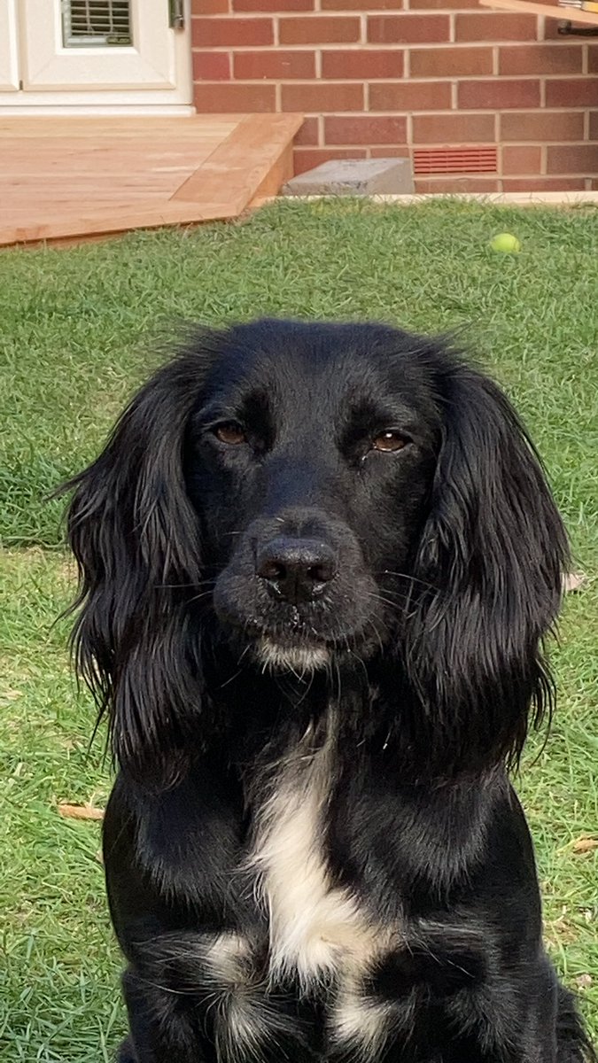 SamNeedham's tweet photo. @AnjiAndrews Ball? https://t.co/F92A8CL79Z