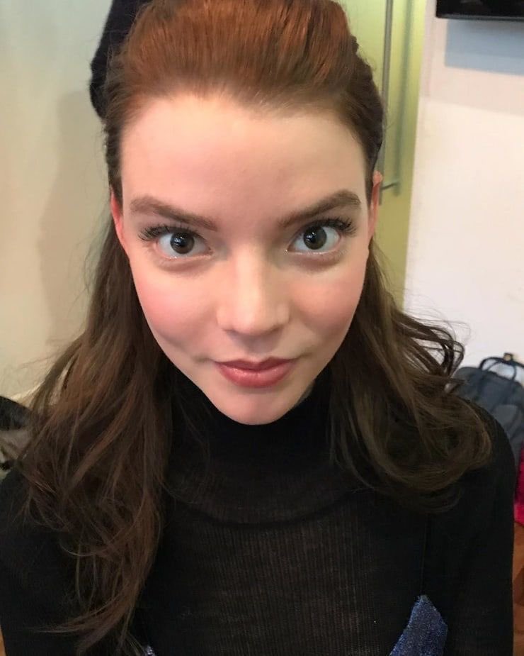 everyhouranya's tweet photo. anya taylor-joy in different hair colors https://t.co/oozd5h1eW7