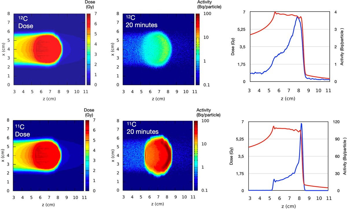 FlashRPT's tweet photo. #RadioactiveBeams for Image-Guided #ParticleTherapy: The BARB Experiment at @FAIR_GSI_en -
↘️ Read more from Daria Boscolo and Daria Kostyleva et al. - https://t.co/5SN4ibVpcO
@TUDarmstadt
#AdvancingRT #medphys #radonc https://t.co/B0mh1T2jJk