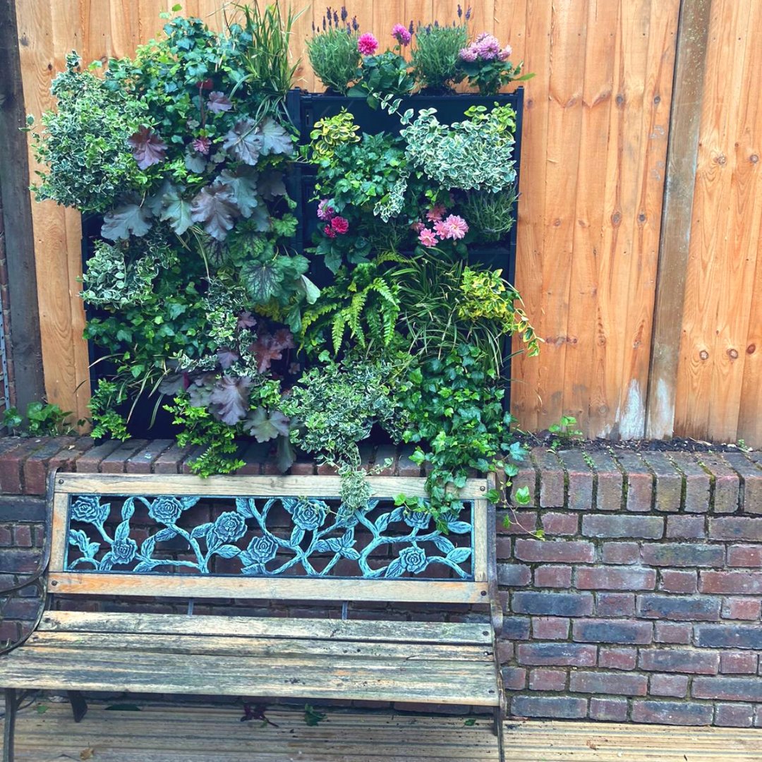 This was the #PlantBox vertical garden featured on ITV's This Morning. Daisy Payne's display features lots of bedding plants, including dahlias &amp; lavender, &amp; a mix of evergreen shrubs. These blend bee-rilliantly, encouraging lots of bees &amp; butterflies
ow.ly/AAD450FNgB5