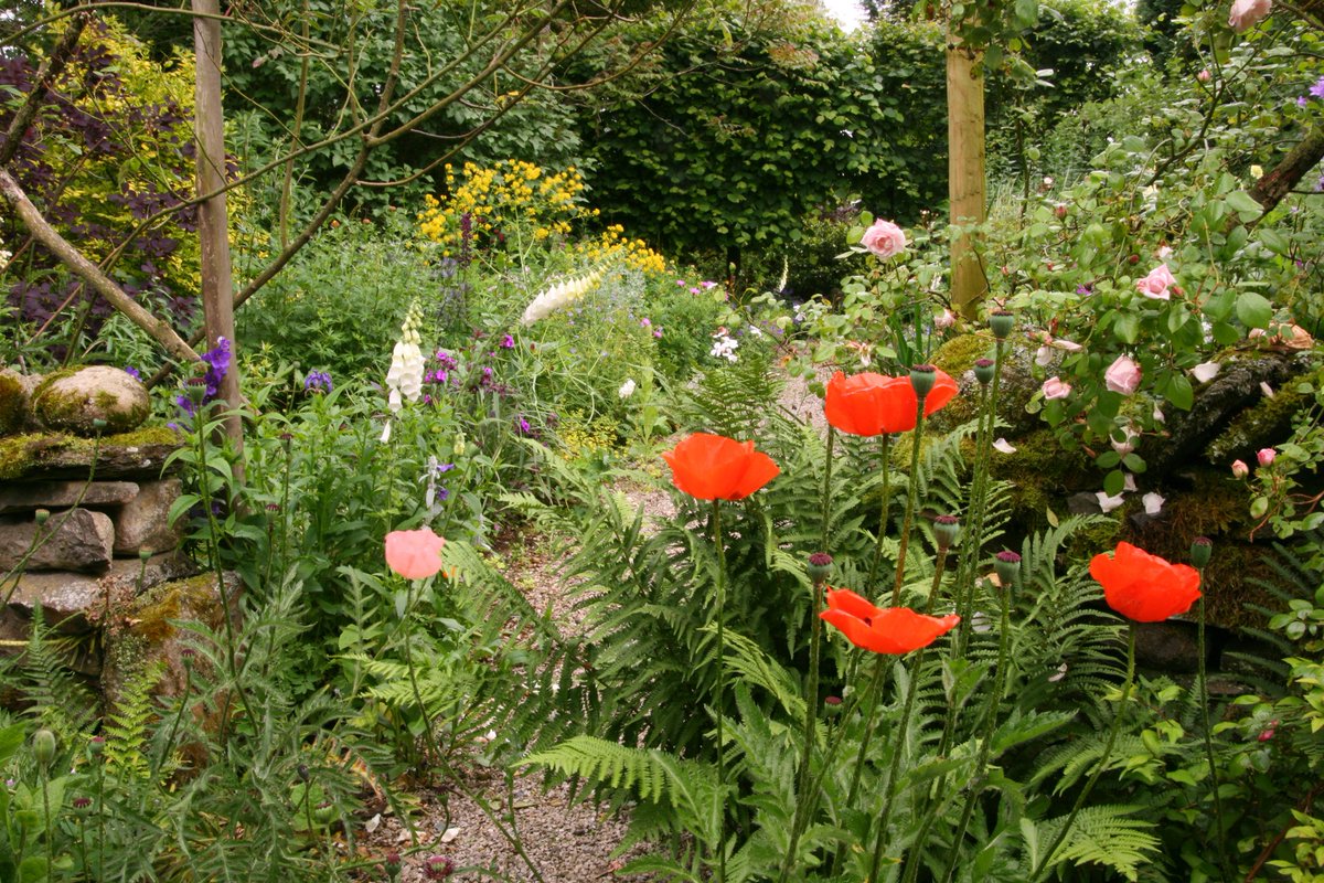 Fell Yeat, Cumbria open their gates this afternoon from 1pm-5pm🌸 This 1 acre country garden has mixed planting which includes unusual trees, shrubs and some topiary🌿 There's lots to explore at this wonderful garden.

Discover a garden open near you bit.ly/3kdX3uX