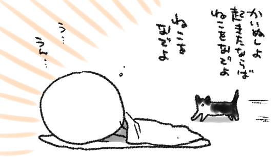 ねこ、わたしの起きた音を察して隣の部屋からとととととと小走りに「にゃー!にゃーーー!」と叫びながら撫でられる気満々で走って来る 