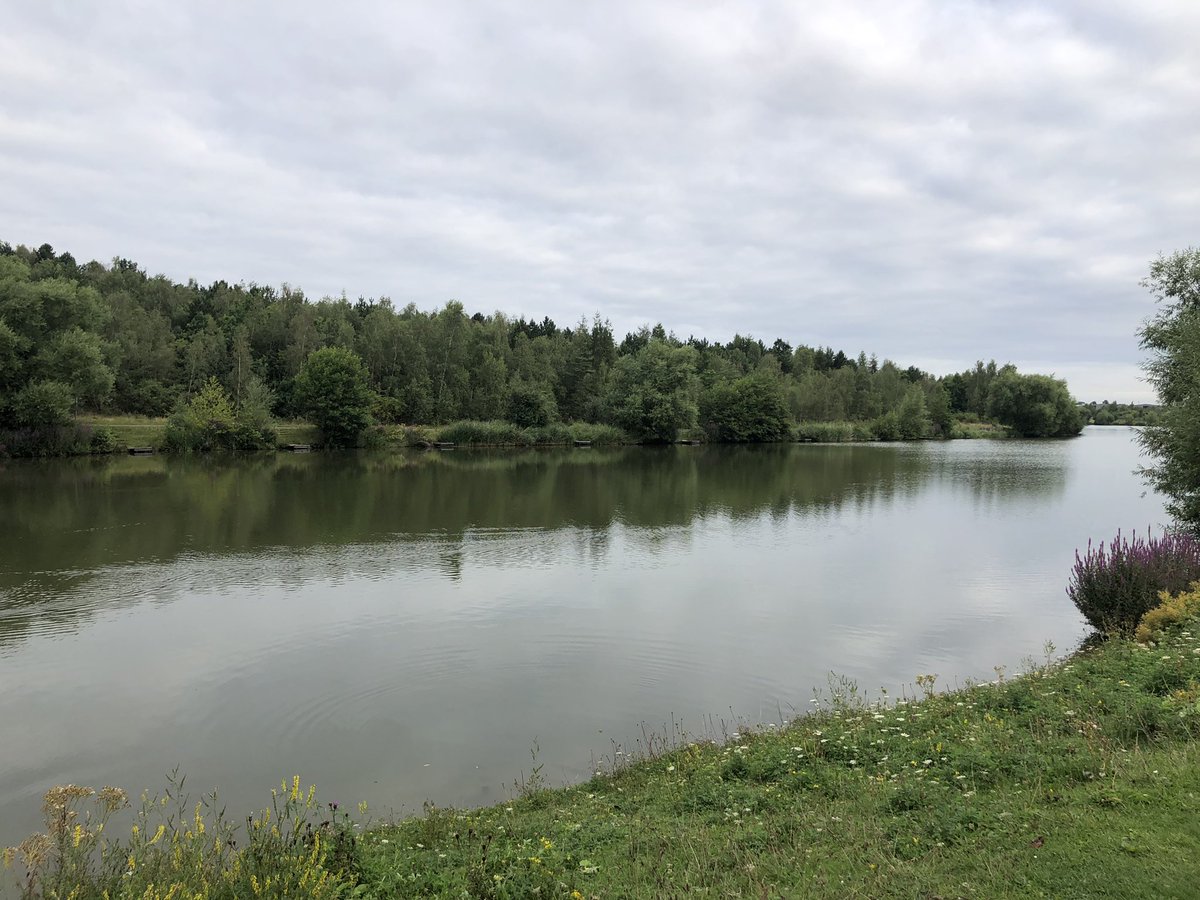 RUN 13! It’s a huge day as my sister is getting married, but before I get suited up I have ran a steady 10Km. Please share and donate if you can 🙏🤞

Link below to donate ⬇️

gofund.me/fdb0aa96

Total distance ran so far - 133Km
Total distance to go - 67Km