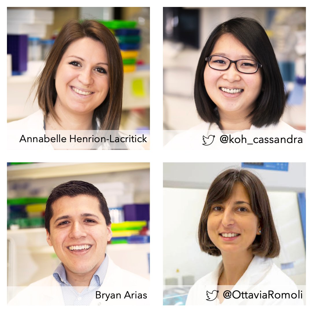 SalehLabParis's tweet photo. Today is #WorldMosquitoDay! There's still so much we don't know about what happens in a #mosquito when infected by #viruses. Meet the scientists @SalehLabParis working on this to find new strategies against mosquito-borne viruses. #IntegratedVectorManagement is the way forward! https://t.co/Xf2ykaPg0o