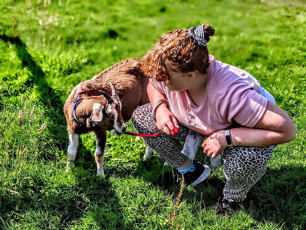 PennywellFarm's tweet photo. Who doesn't love taking a goat for a walk? Just one of the activities every day at Pennywell Farm #goatwalking #dayout #devon  https://t.co/u5qxhLmcpv https://t.co/uLYsCbP3zp