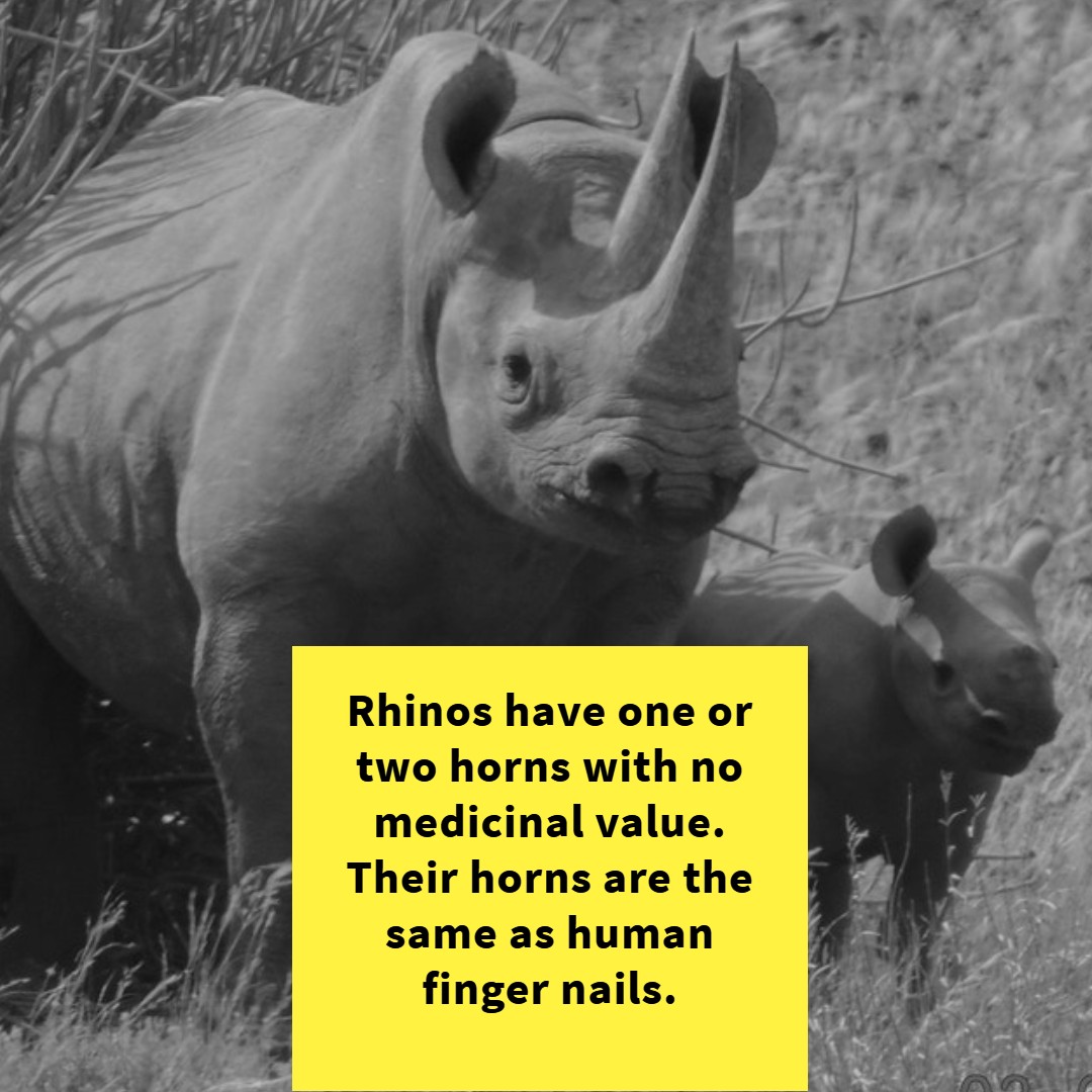 DID YOU KNOW THIS??!!

Interesting isn't it??

So many people think otherwise and it is costing so many of their lives!!!