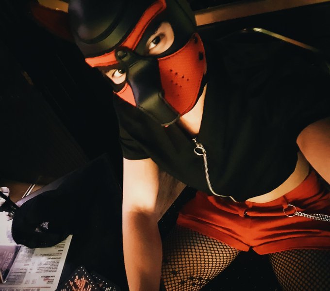 New outfit! Awrooo???

#bdsm #kink #fetish #pupplay #puppyplay #humanpup #humanpuppy #twink #femboy https://t