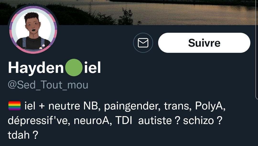 OLiberable's tweet image. aucuns problèmes physiques juste mentaux