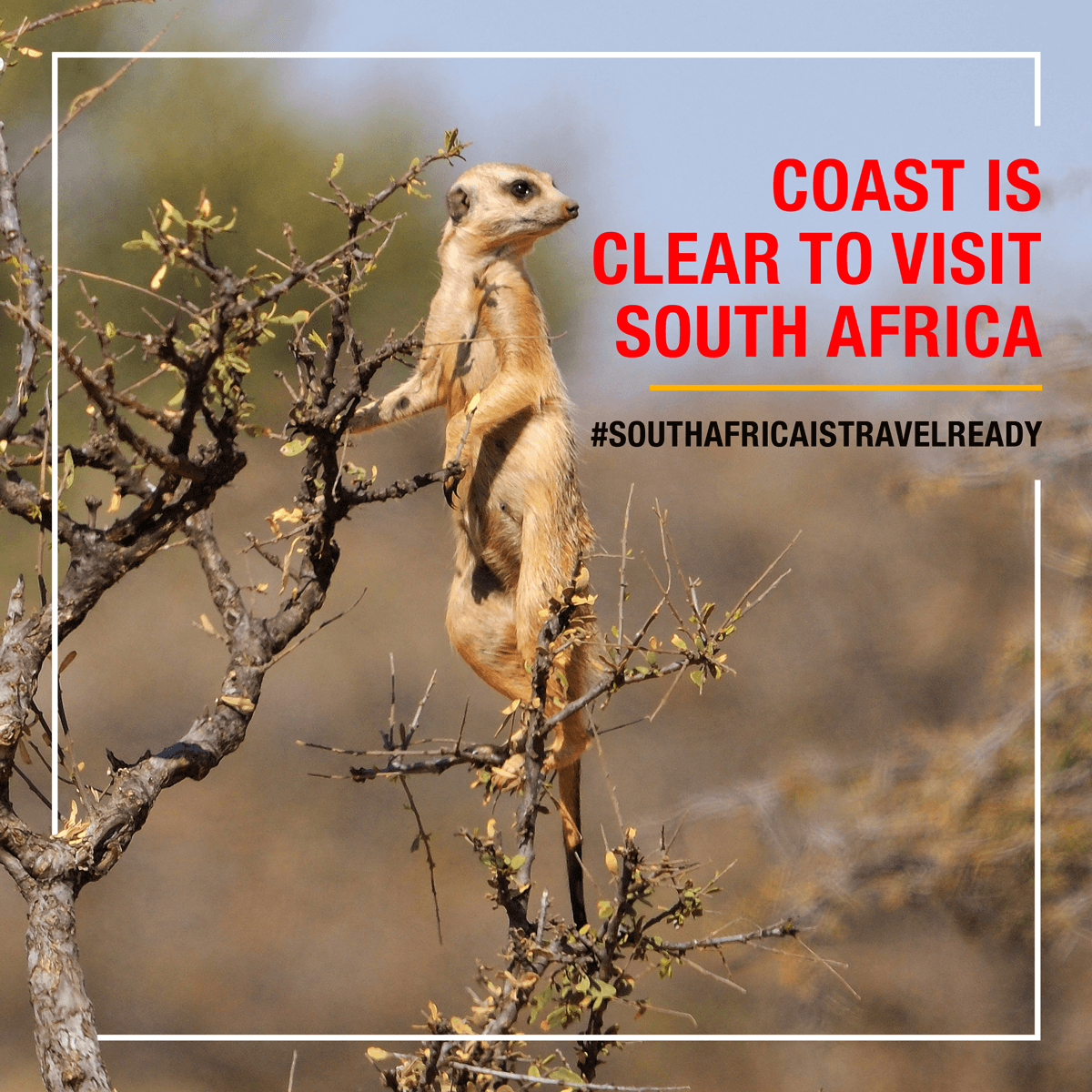 Take that first step and you won't need to be looking over your shoulder. #SouthAfricaisTravelReady