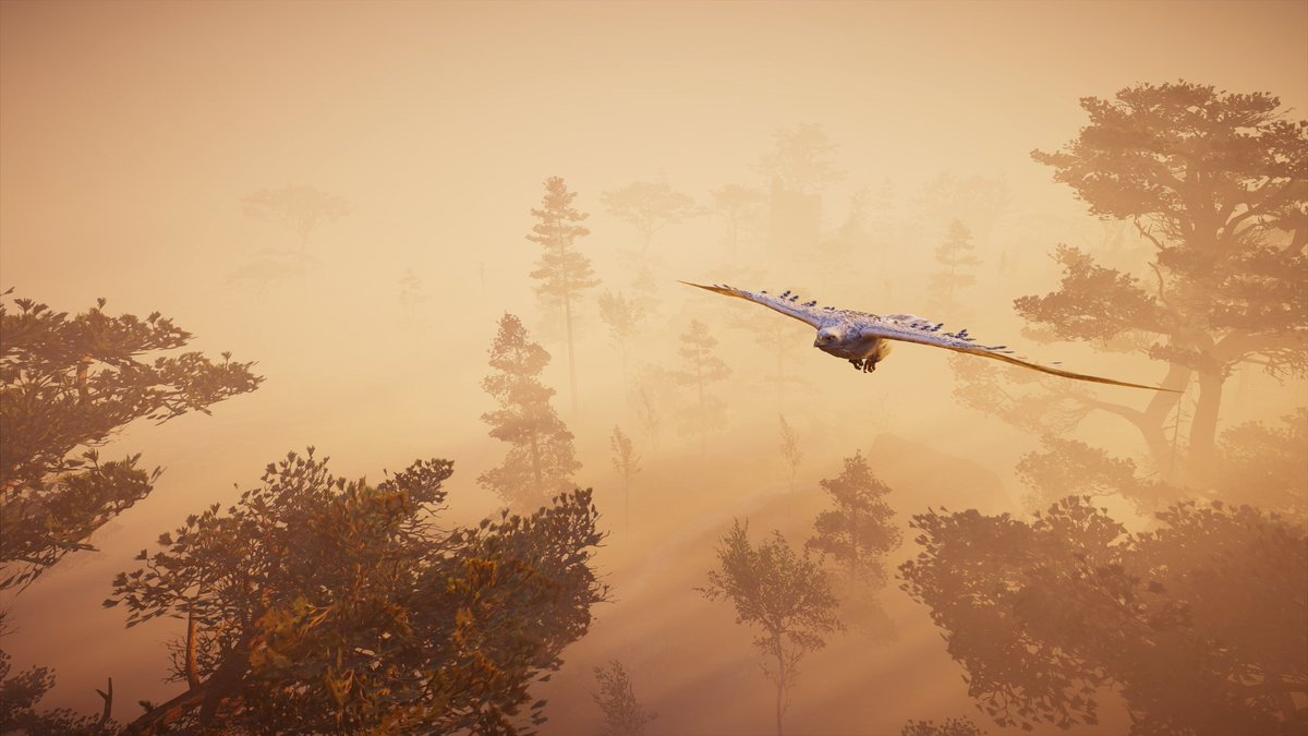 tompow_vp's tweet photo. Soft light

Game: #AssassinsCreedVallhalla

#VirtualPhotography #ThePhotoMode #VGPUnite #TheCapturedCollective #VPEclipse #ZarnGaming #WorldofVP #GamerGram #VPCONTEXT  #ArtisticofSociety #WVPLandscape #TCCsoft https://t.co/hib3ei11A2