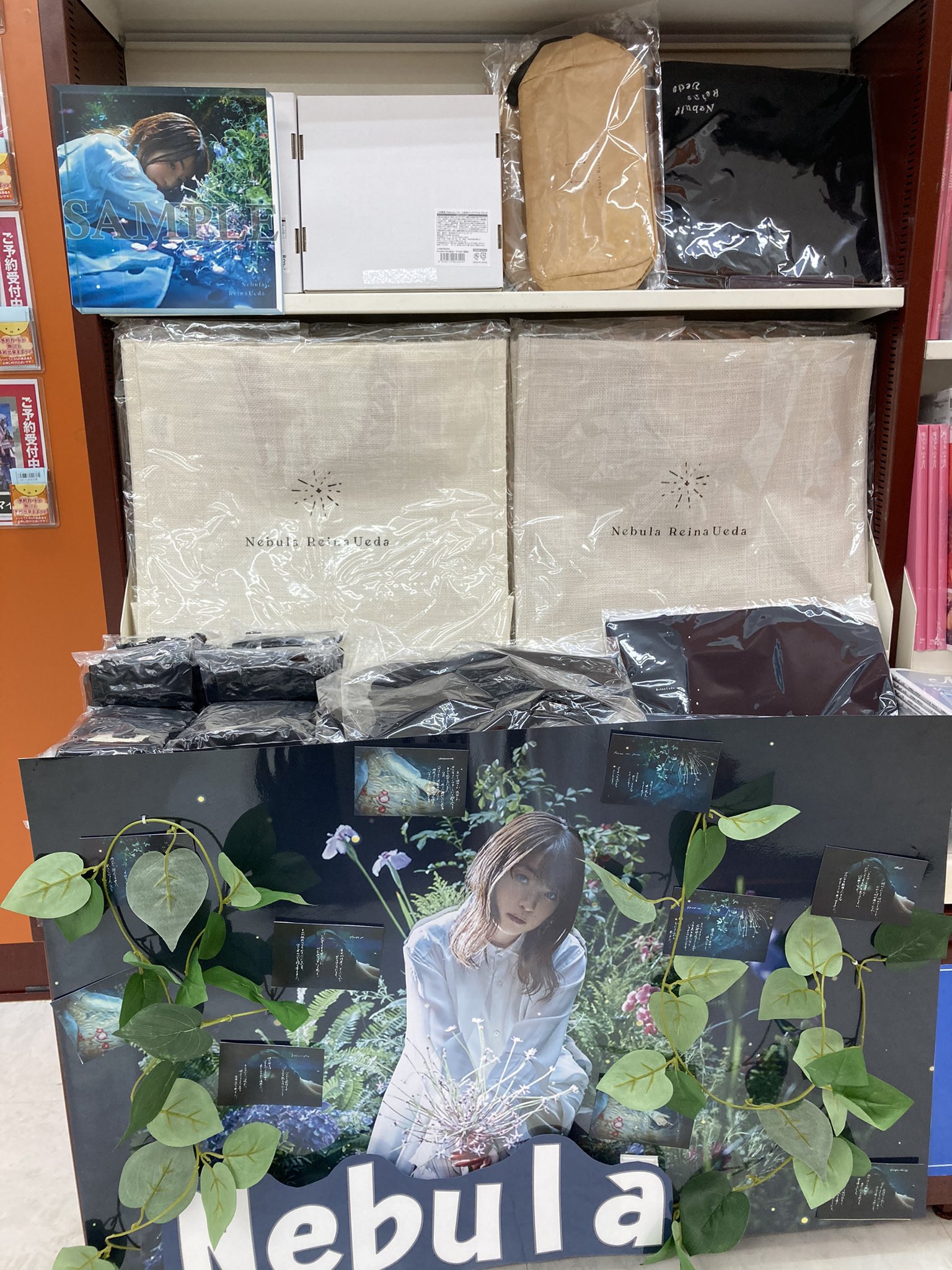 AKIHABARAゲーマーズ本店 on X: 