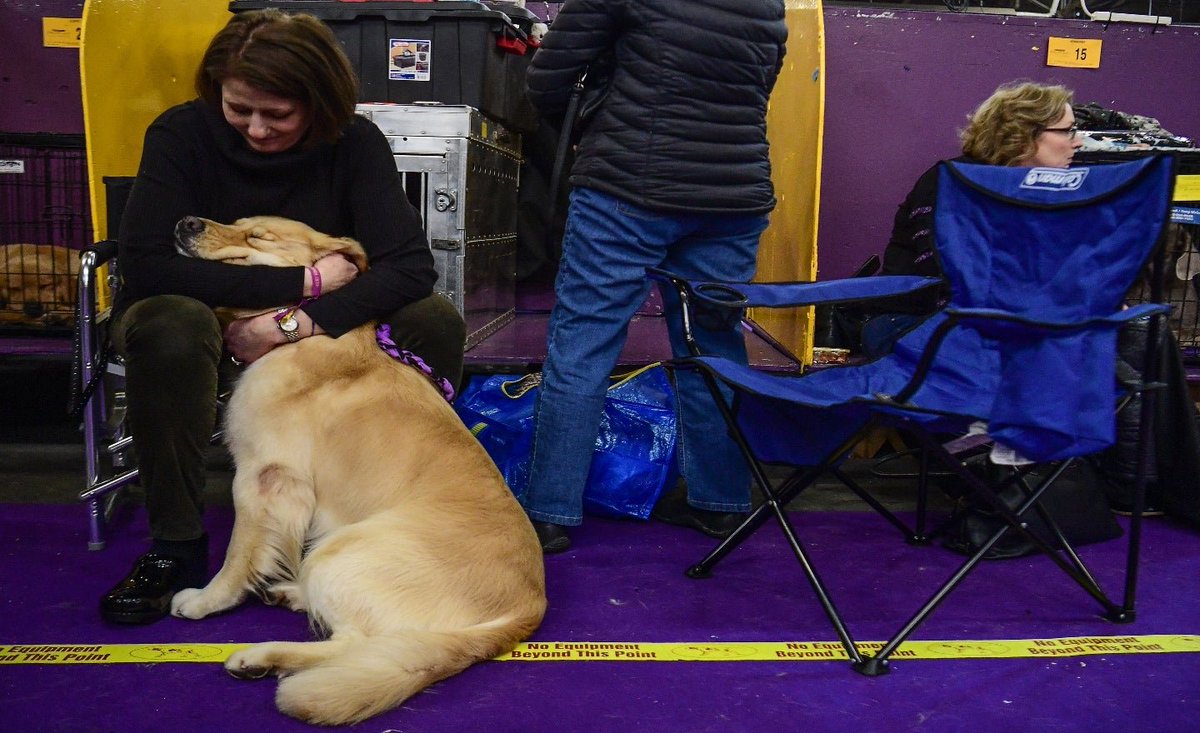 thehill's tweet photo. Scientists show that cuddling with a dog significantly improves your well-being https://t.co/9tP1pKBYjl https://t.co/nS1pFQy1JI