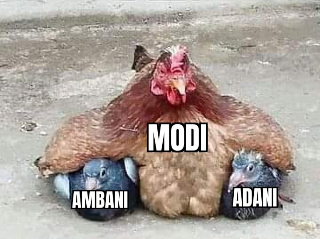 PoonamBhat1's tweet image. #ModiStopMisleadingFarmers 
#ModiWillDestroyAPMC