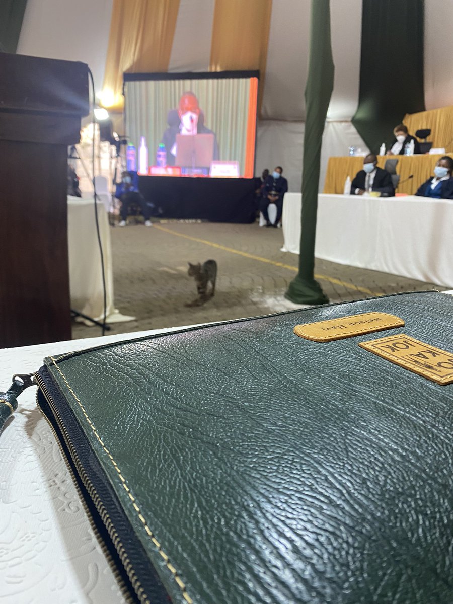 Nelson Havi SC tweet media