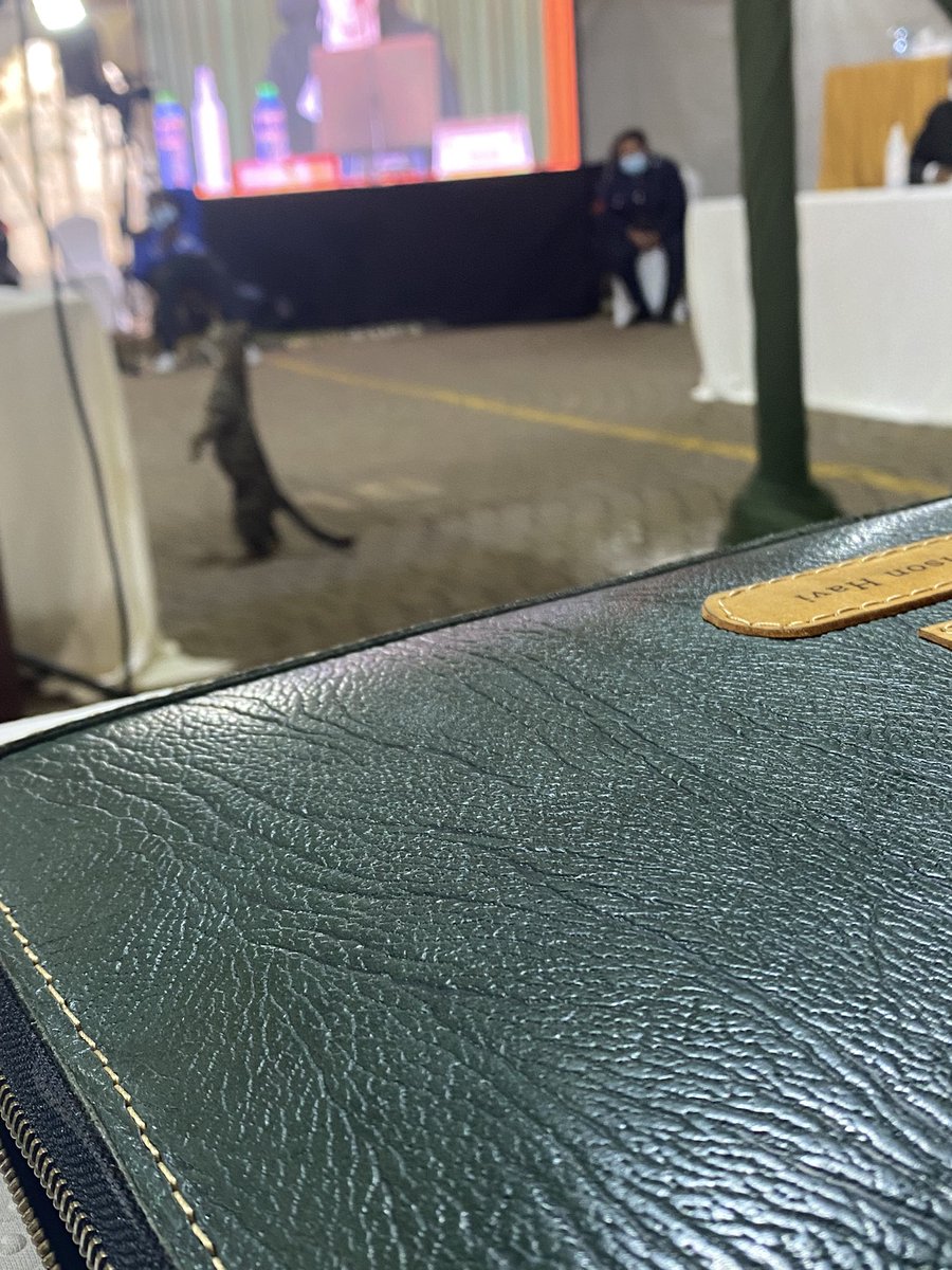 The arrival of Chief Justice David Maraga’s Judicial Cat at the Court of Appeal is acknowledged. It is seen here addressing the Advocate of President Uhuru Kenyatta, Waweru Gatonye SC as Justice Gatembu Kairu reads his judgment cremating reggae. ^DoS