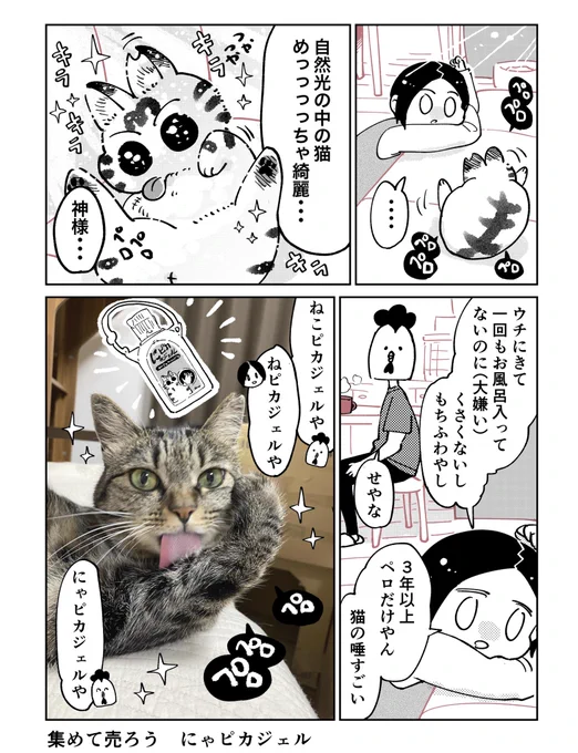 3本足のしじみちゃん143 