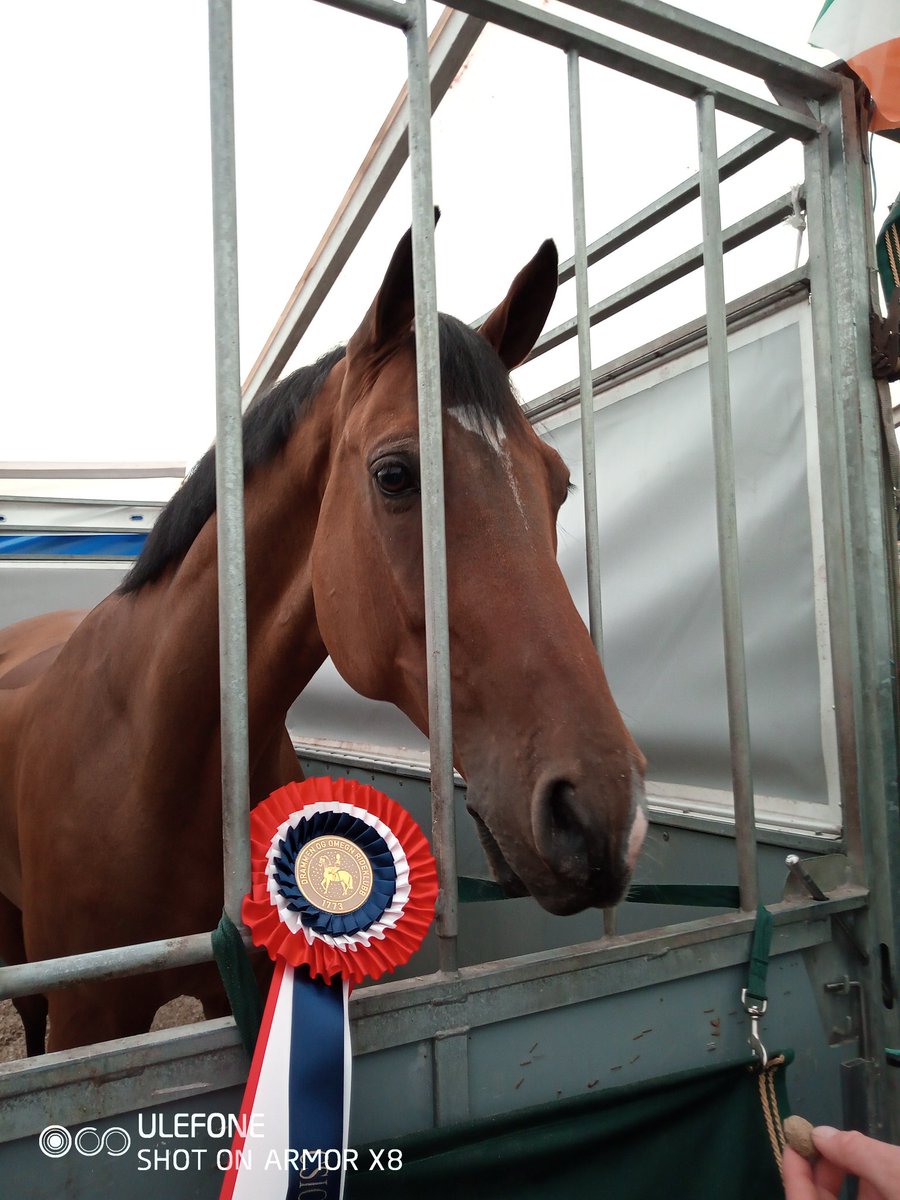 Army Equitation tweet media
