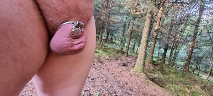 Walking naked in the forest this morning wearing nothing but my chastity cage. So liberating! #chastity<a href="/tag/femdom"class="tags"><span>#femdom</span></a><a href="/tag/forest"class="tags"><span>#forest</span></a><a href="/tag/walking"class="tags"><span>#walking</span></a><a href="/tag/sissy"class="tags"><span>#sissy</span></a><a href="/tag/cuckold"class="tags"><span>#cuckold</span></a><a href="/tag/humiliation"class="tags"><span>#humiliation</span></a>