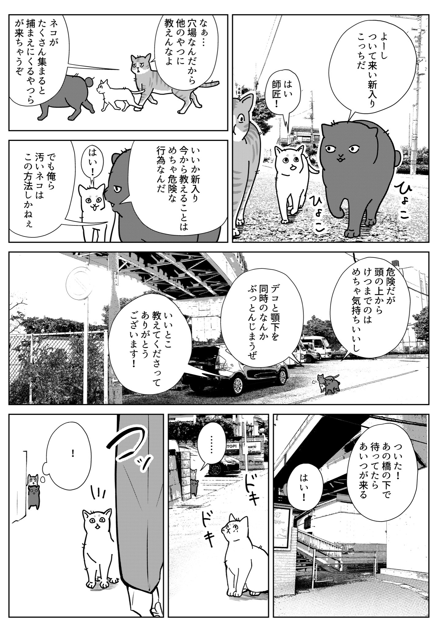 常喜寝太郎 踊れ獅子堂賢 着たい服がある 不良がネコに助けられてく話 孤独なネコとぼっちのアタシ を描きました T Co Z4jzdntjhi Twitter