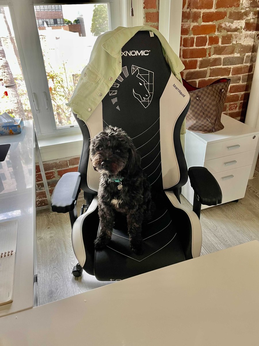 thestorymob's tweet photo. Don't just sit there, we've got #esports things to do! #MondayMotivation #Mobpets https://t.co/lVQIXryUii